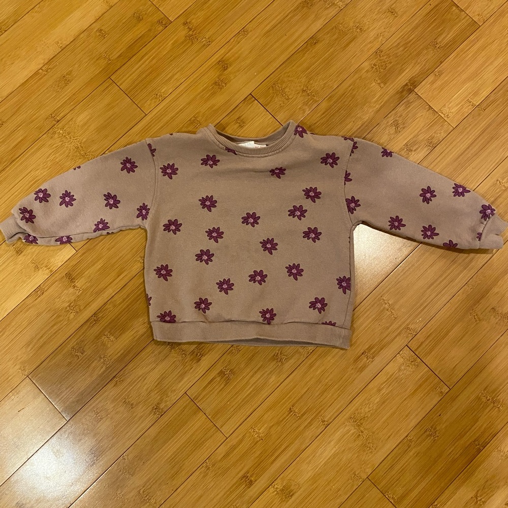 Zara Sweatshirt size 2t-3t